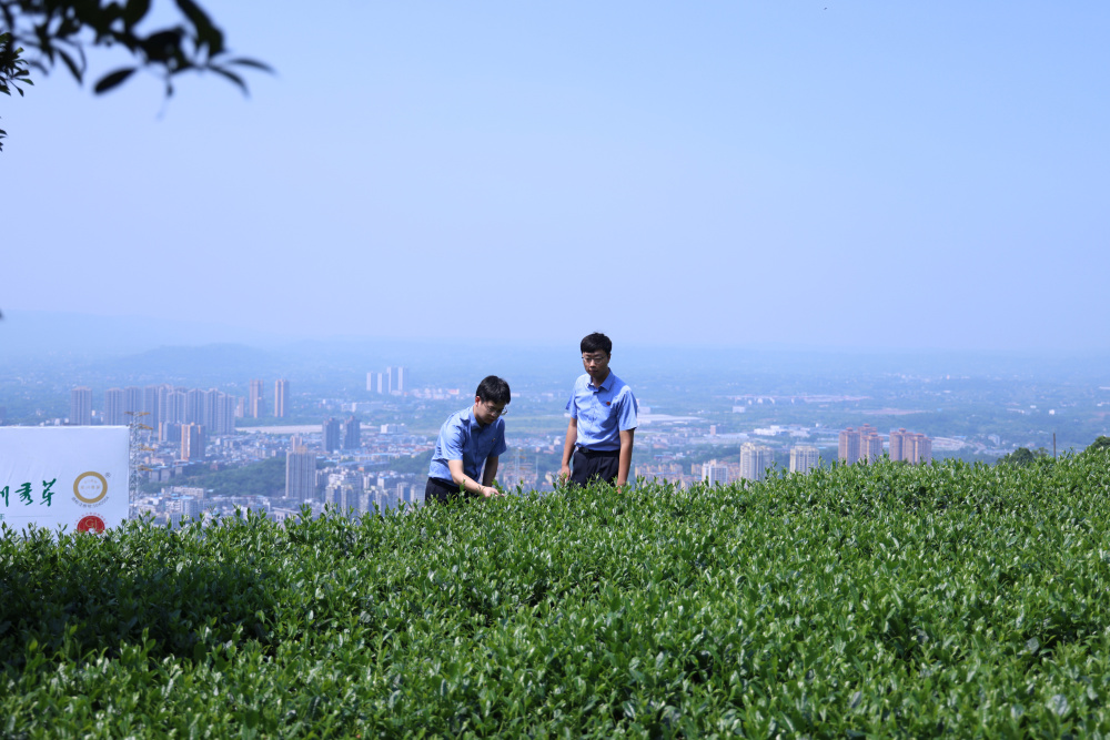 【检察日报头版头条】重庆：创新进到哪 保护跟到哪